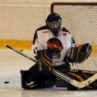 EAHL 2014/15 Beisl Bastards