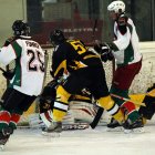 EAHL 2014/15 Beisl Bastards