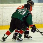 EAHL 2014/15 Sharks