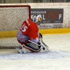 EAHL 2014/15 Sharks