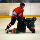 EAHL 2014/15 Sharks