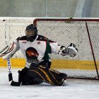 EAHL 2015/16 Beislbaeren