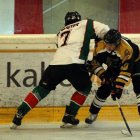 EAHL 2015/16 Beislbaeren