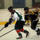 EAHL 2015/16 Beislbaeren