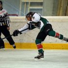 EAHL 2015/16 Beislbaeren