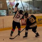 EAHL 2015/16 Beislbaeren