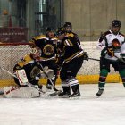 EAHL 2015/16 Beislbaeren