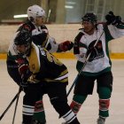EAHL 2015/16 Beislbaeren