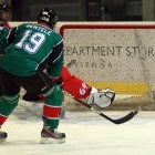 EAHL 2015/16 Sharks