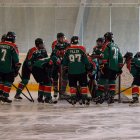 EAHL 2015/16 Sharks II