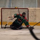 EAHL 2015/16 Sharks II