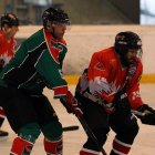 EAHL 2015/16 Sharks II