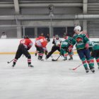 EAHL Finale2 2015/16 Sharks