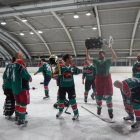 EAHL Finale2 2015/16 Sharks