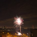 Silvester self